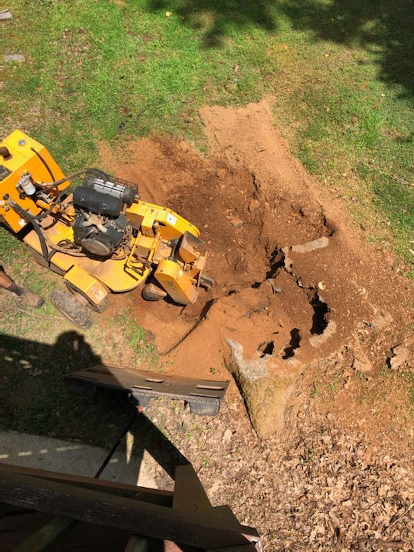 Photo while grinding a stump from above.