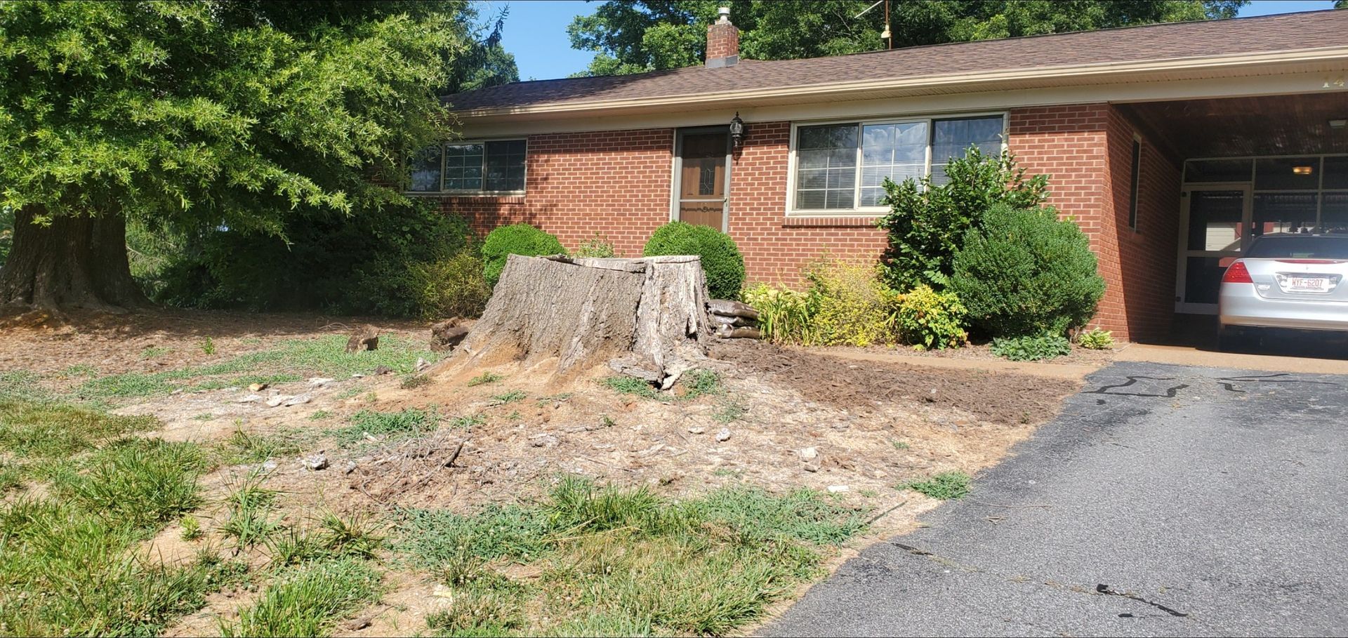 Large stump in front of a house.