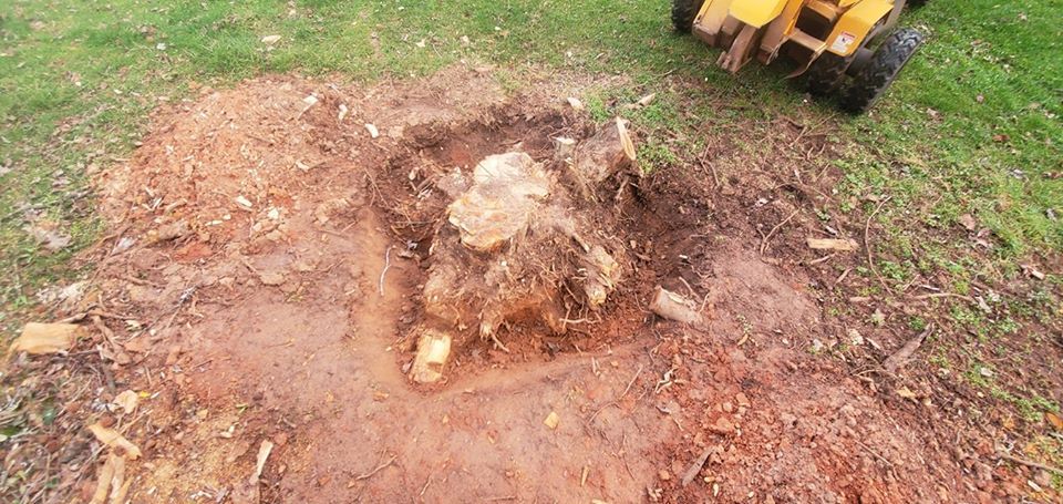 Digging up stump