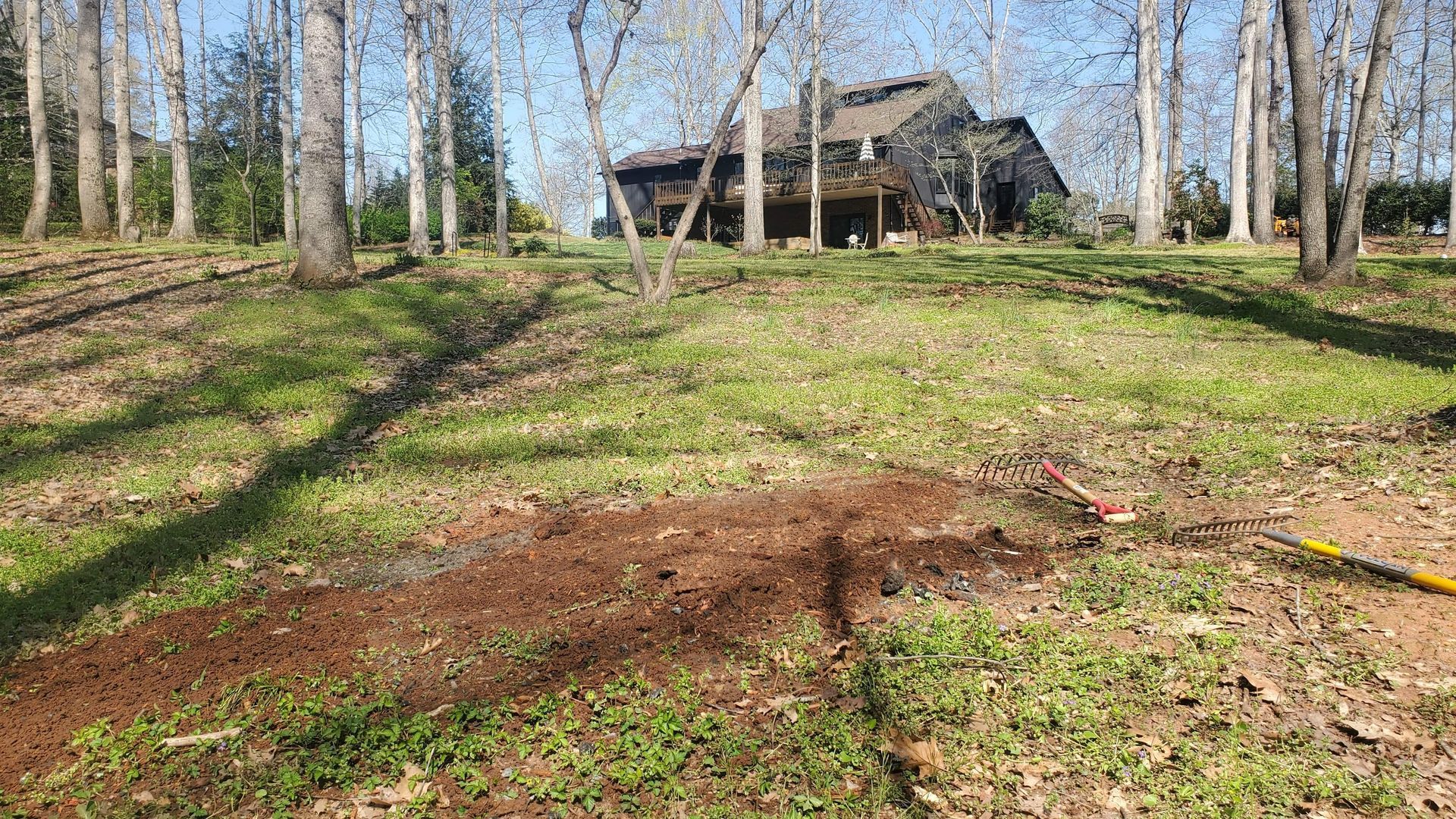 After removal of the stump in the back yard.