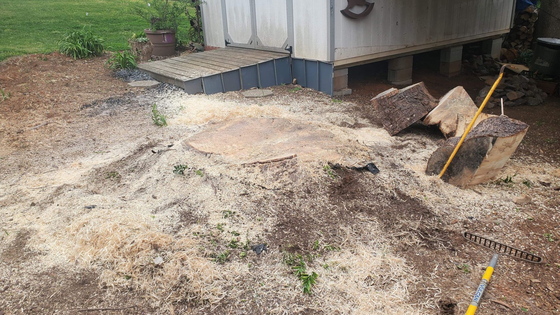 A large stump next to a storage building.