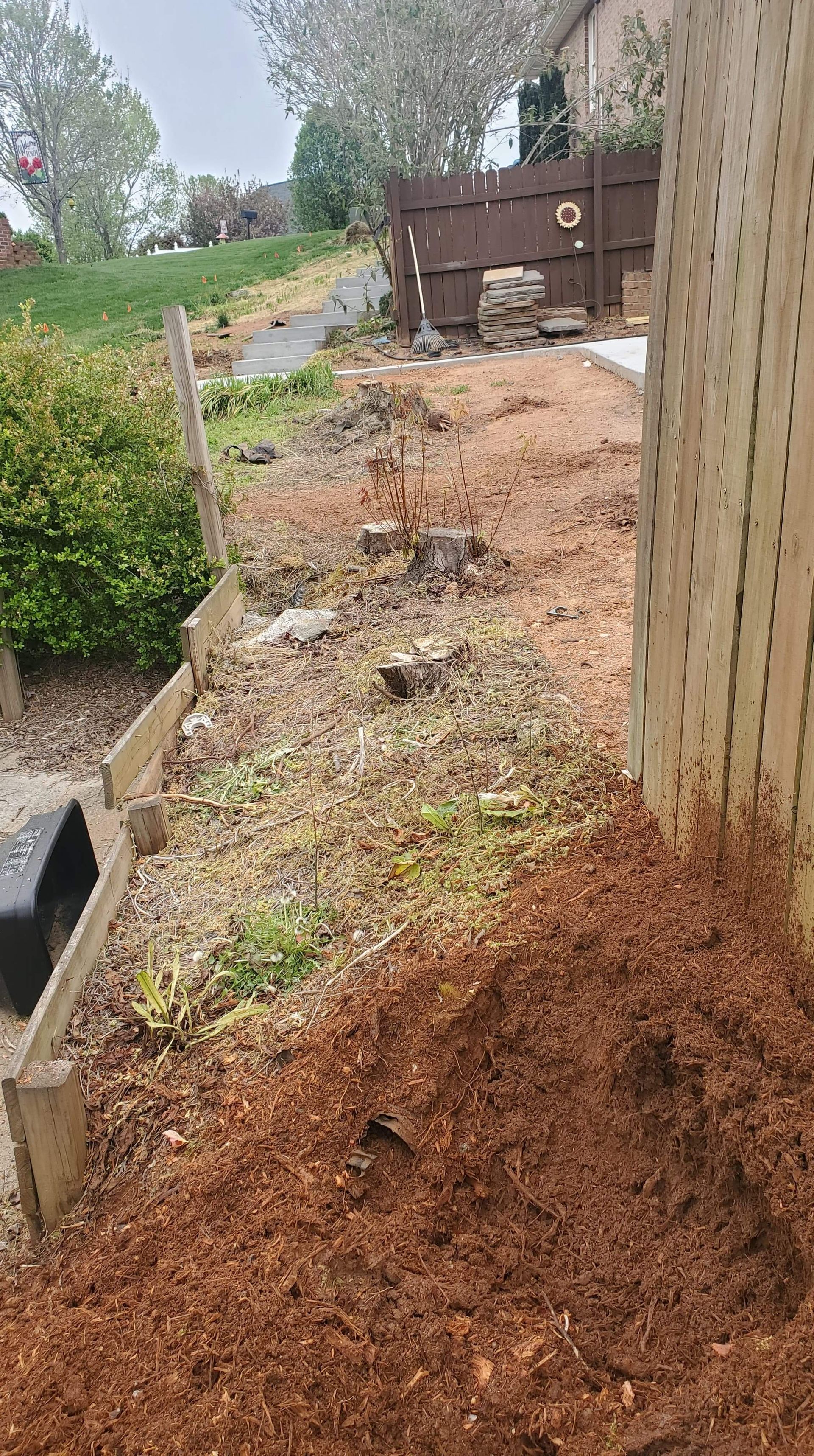 Row of stumps next to a fence, before grinding