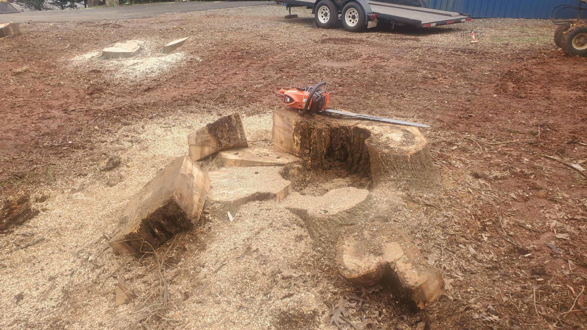 Photo before Grinding a stump, with a chainsaw on top of stump.