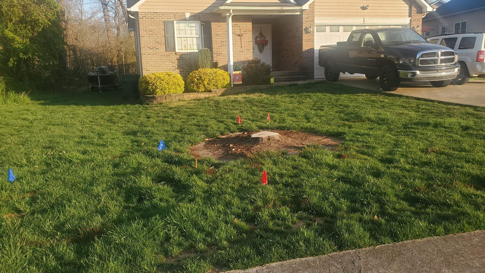stump in the front of yard before grinding