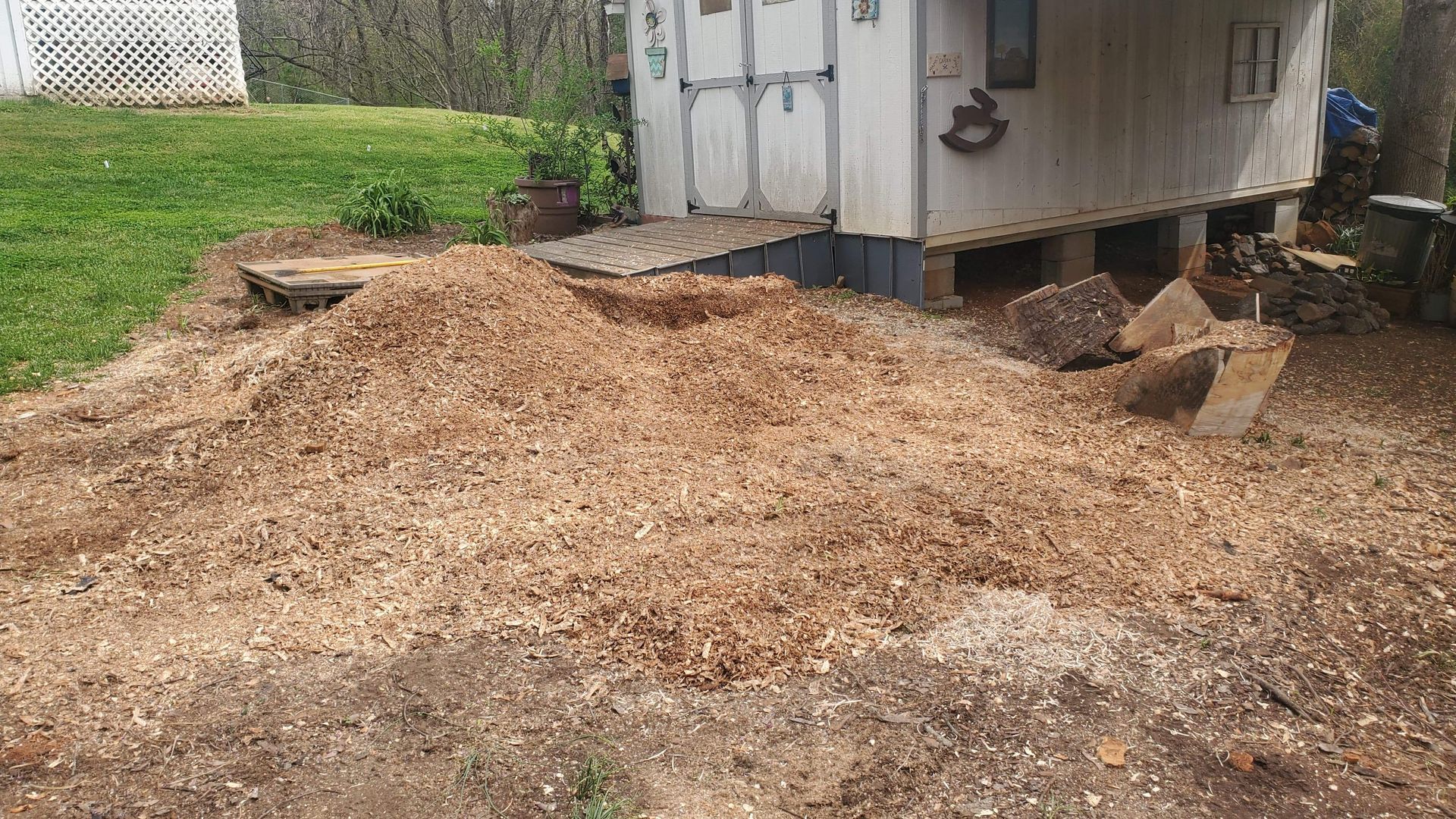 After grinding a large stump next to an out-building.