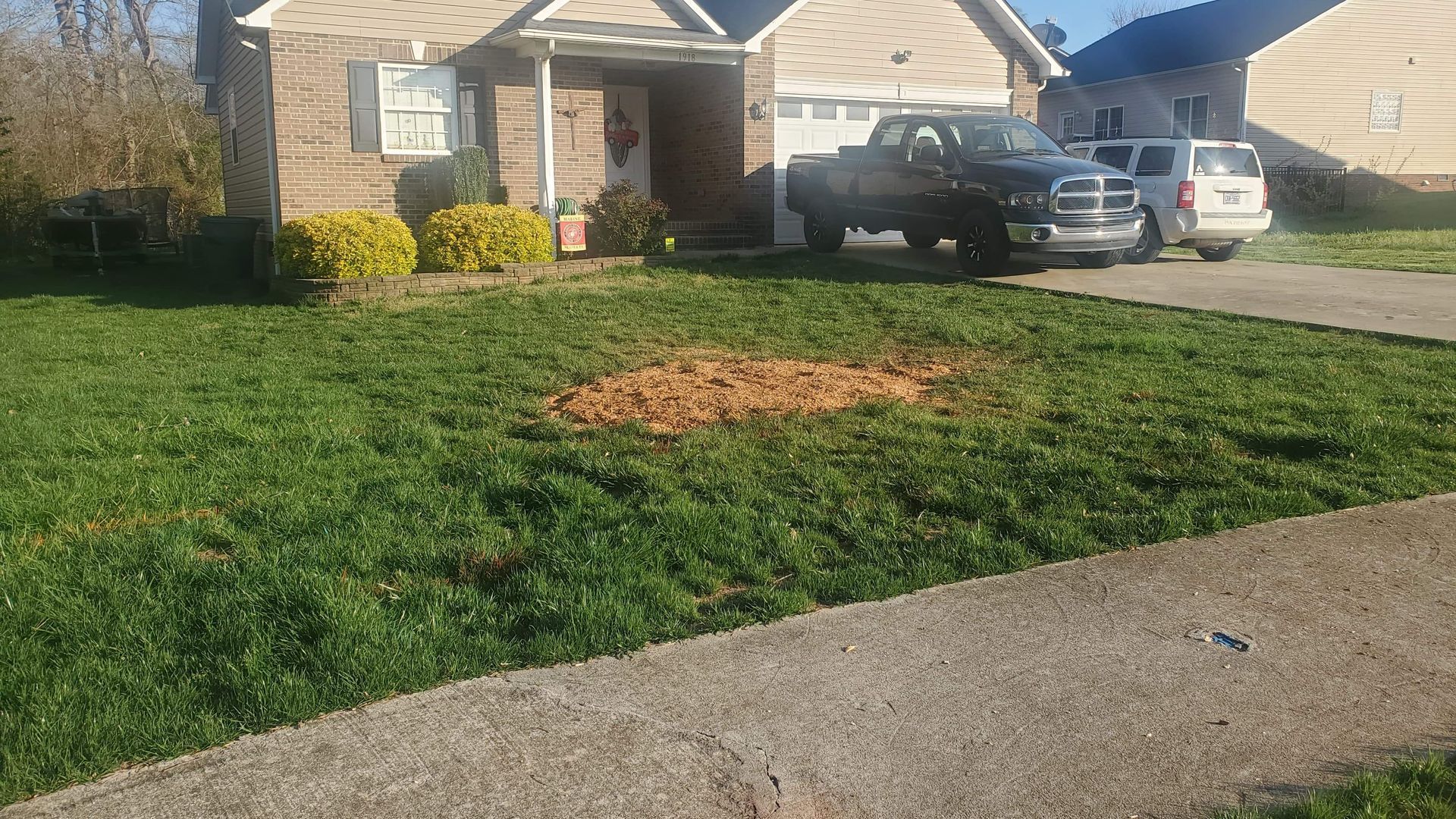 photo of after grinding a stump