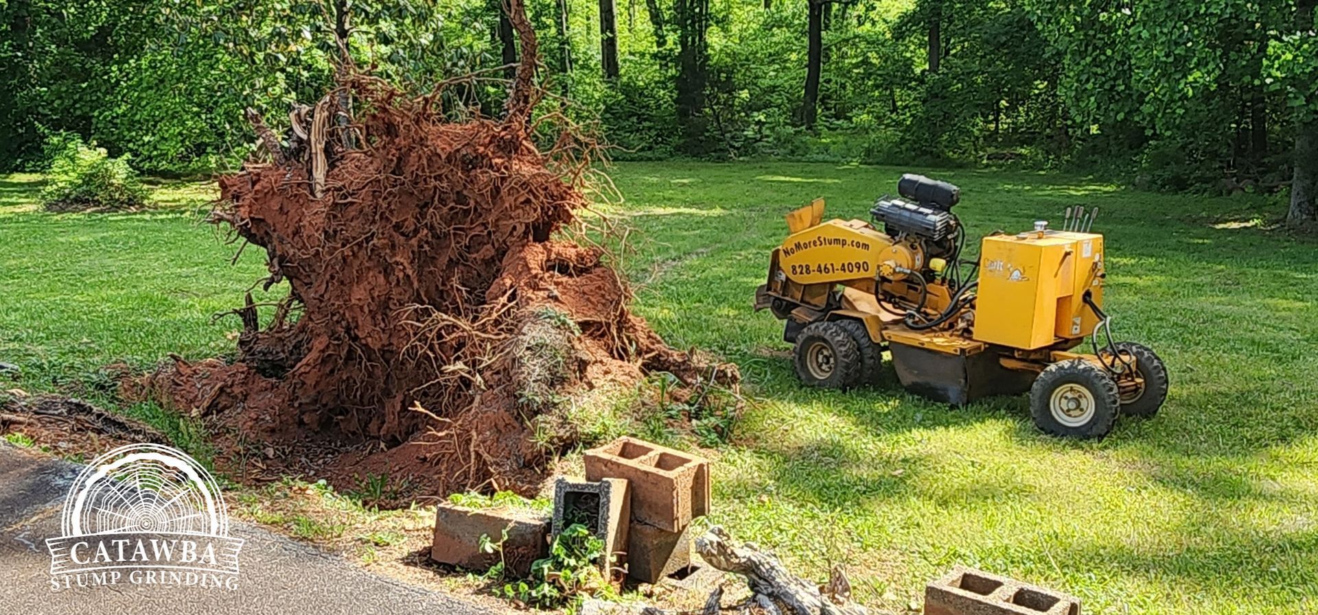 Uprooted tree stump