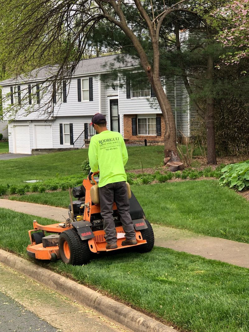 Worker operating orange lawn mower on a grassy sidewalk beside a residential street