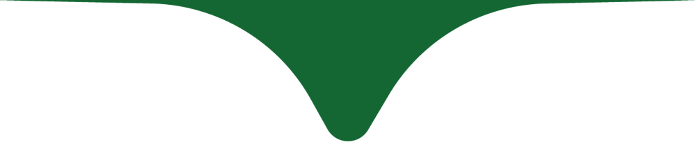 Green curved notch centered on a white background, resembling a stylized banner edge
