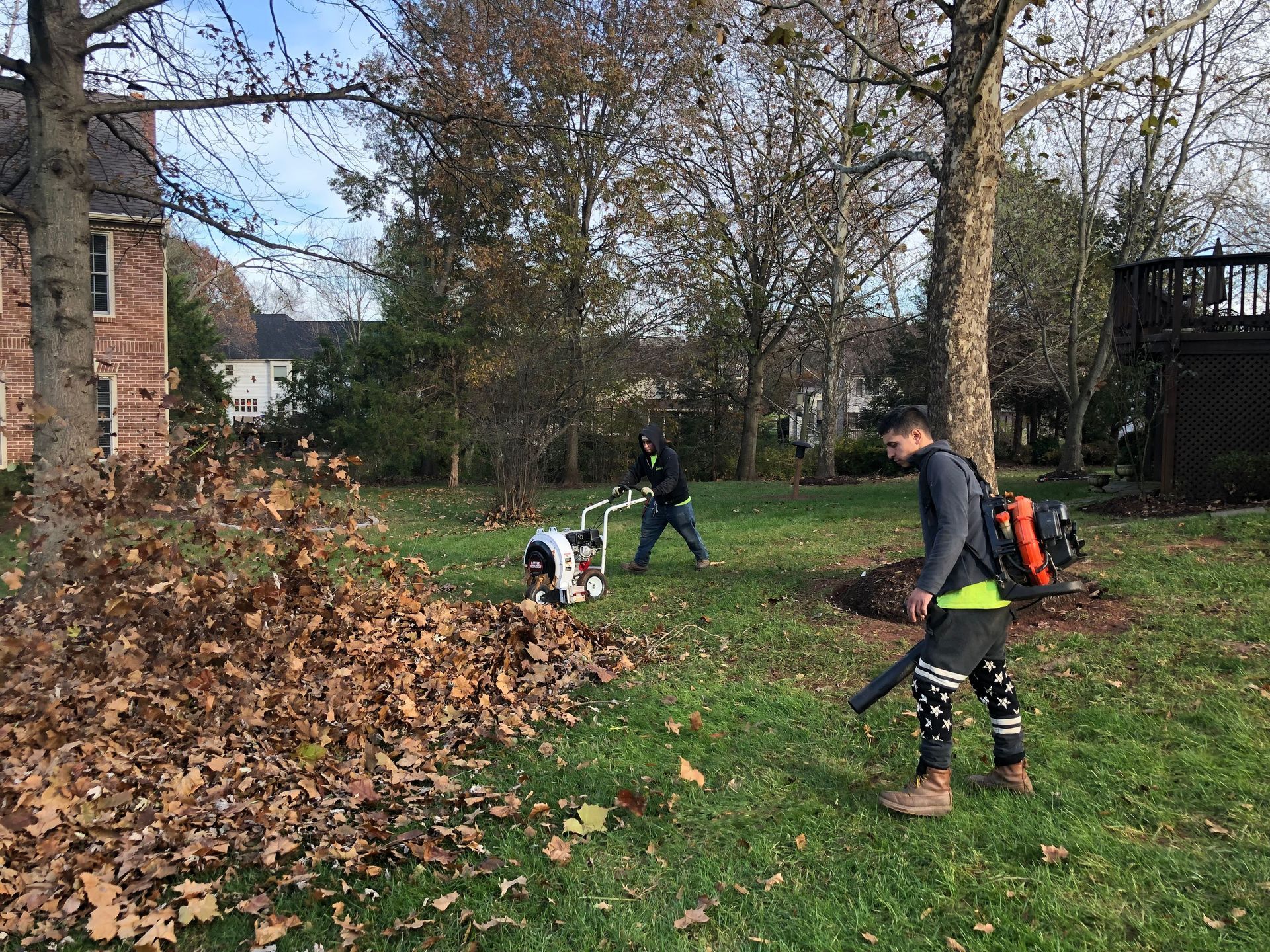 People raking and bagging leaves in a yard with a large leaf pile and bare trees
