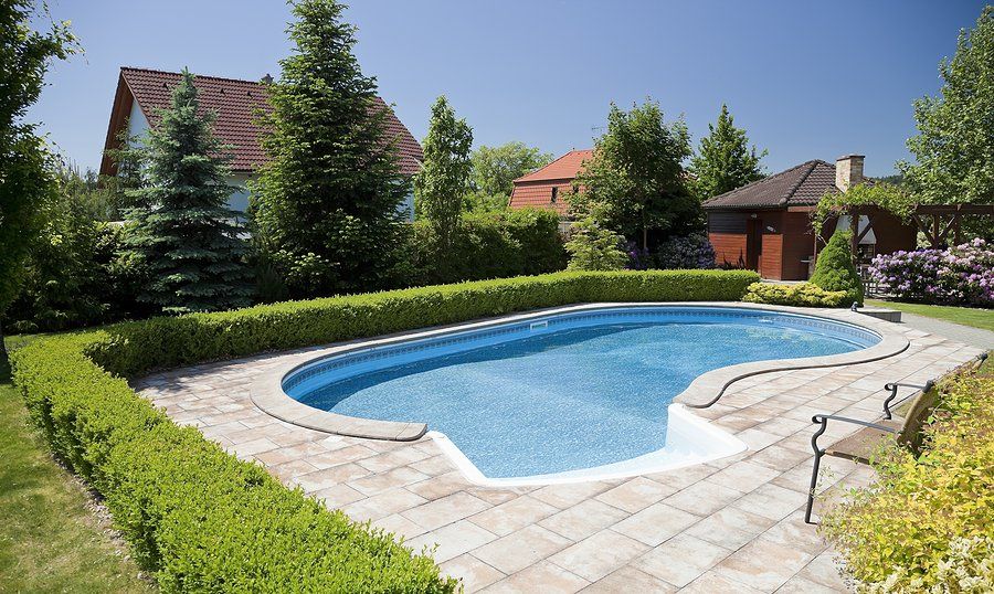 oblong swimming pool surrounded with small bushes