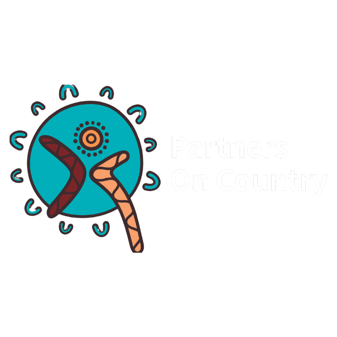 Teal circle with two boomerangs and sun graphic. Text to the right.