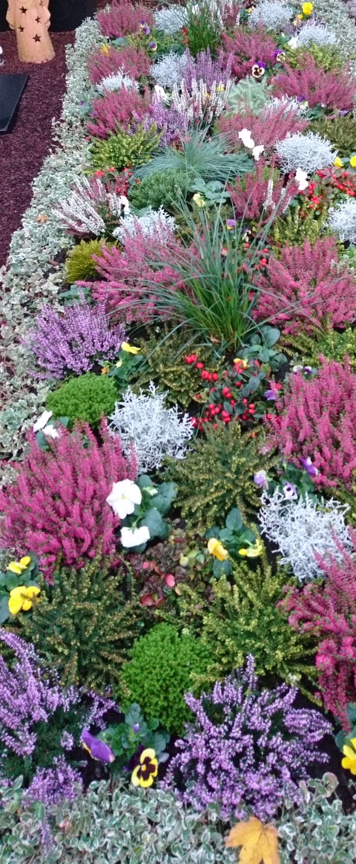 In diesem Garten gibt es viele verschiedene Blumenarten.