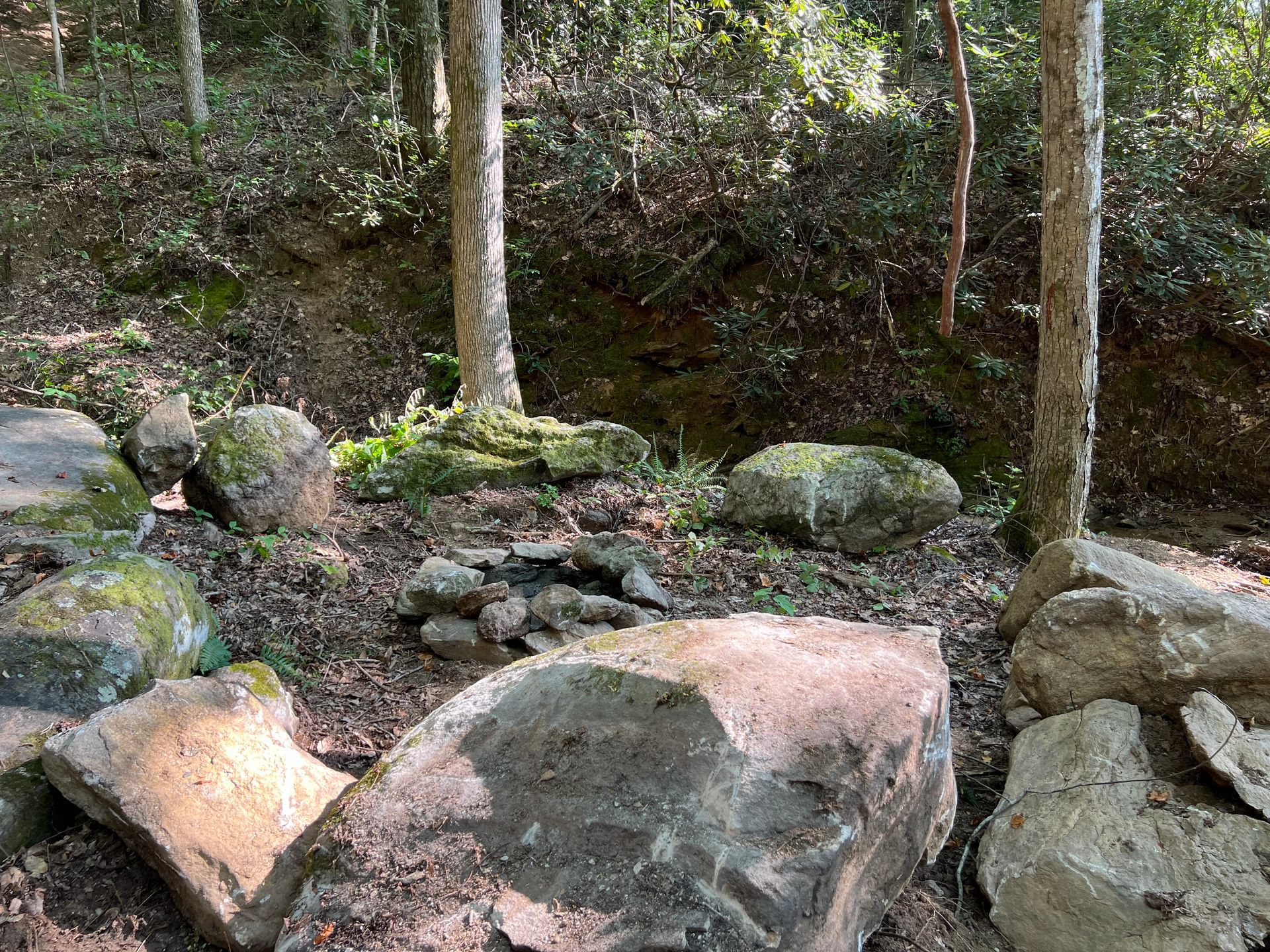 Rocks surround a fire pit in a wooded area with trees.
