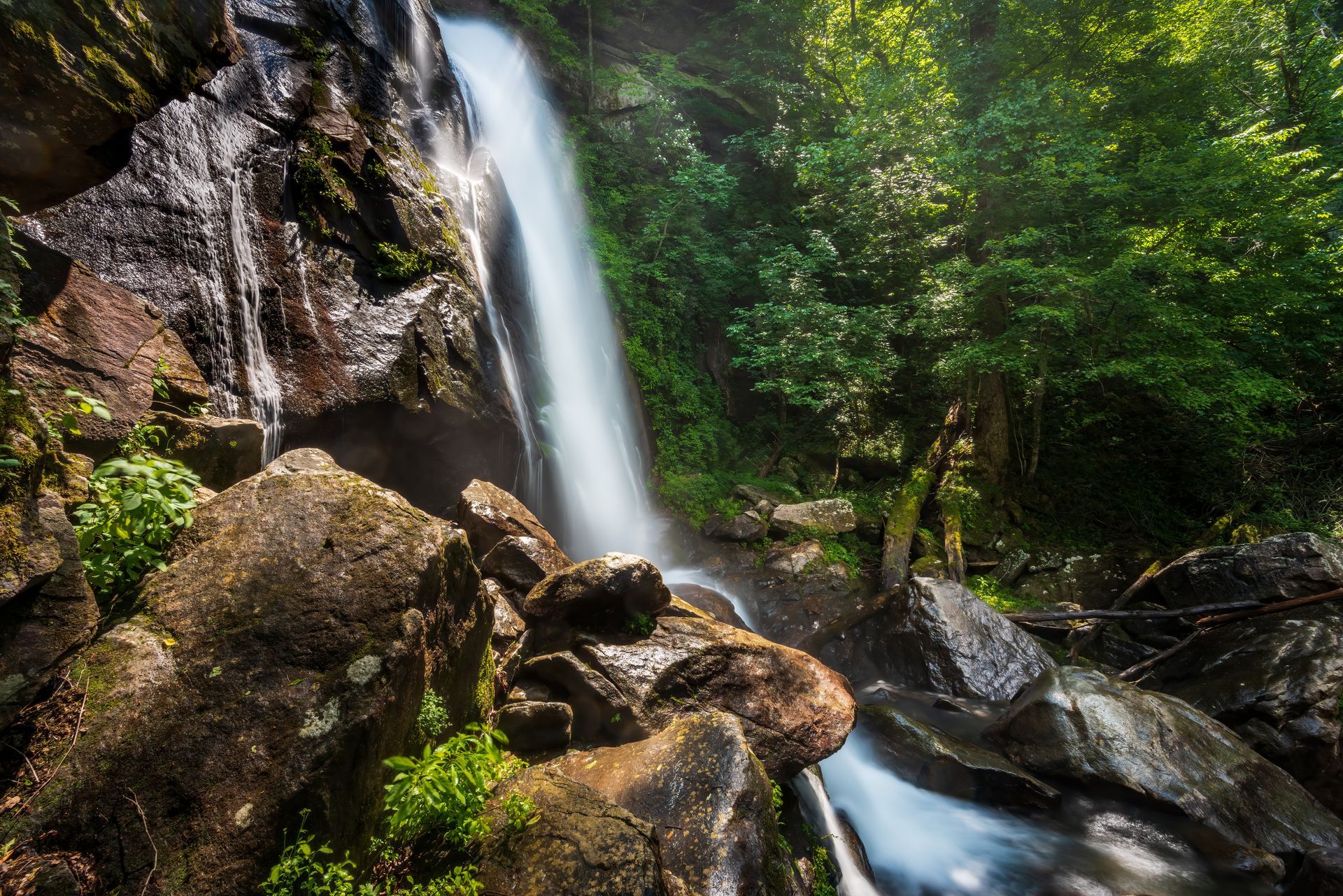 Waterfall cascading over dark rocks into a pool, surrounded by green trees.