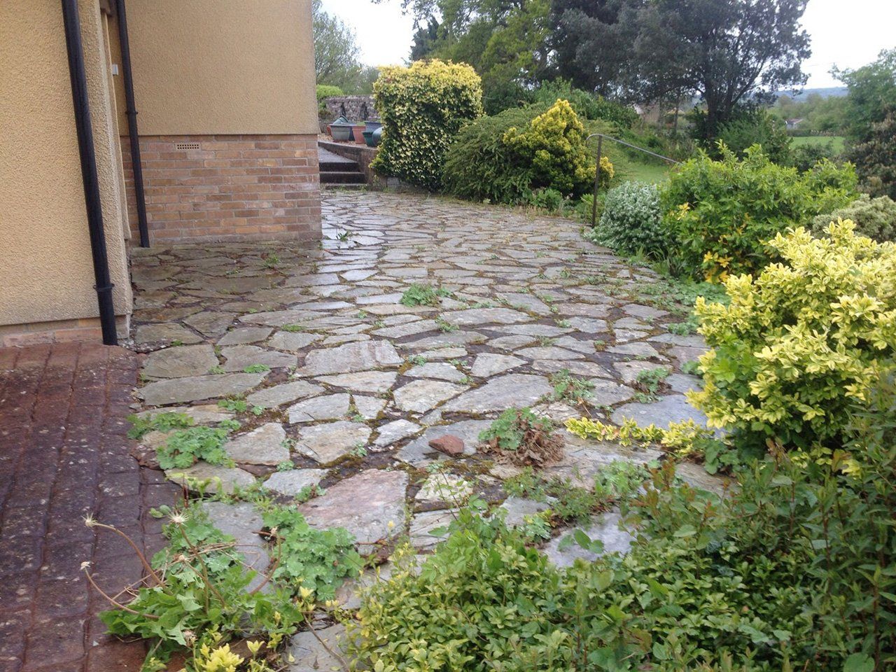 driveway before