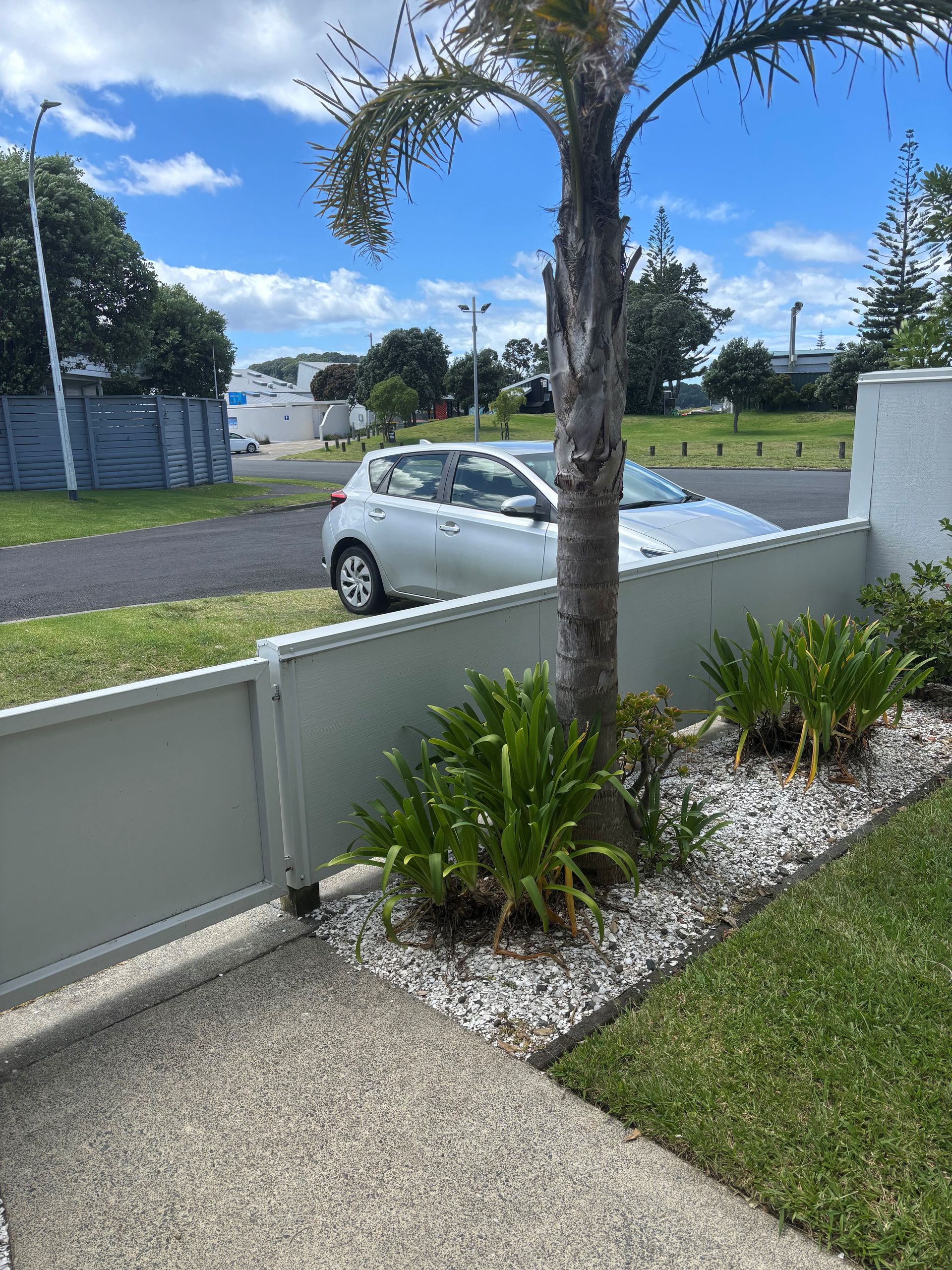 A view of a silver hatchback car parked behind a white fence, with a palm tree and landscaping in the foreground.