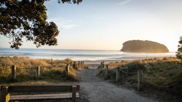 A path leading to a beach with a bench in the foreground.