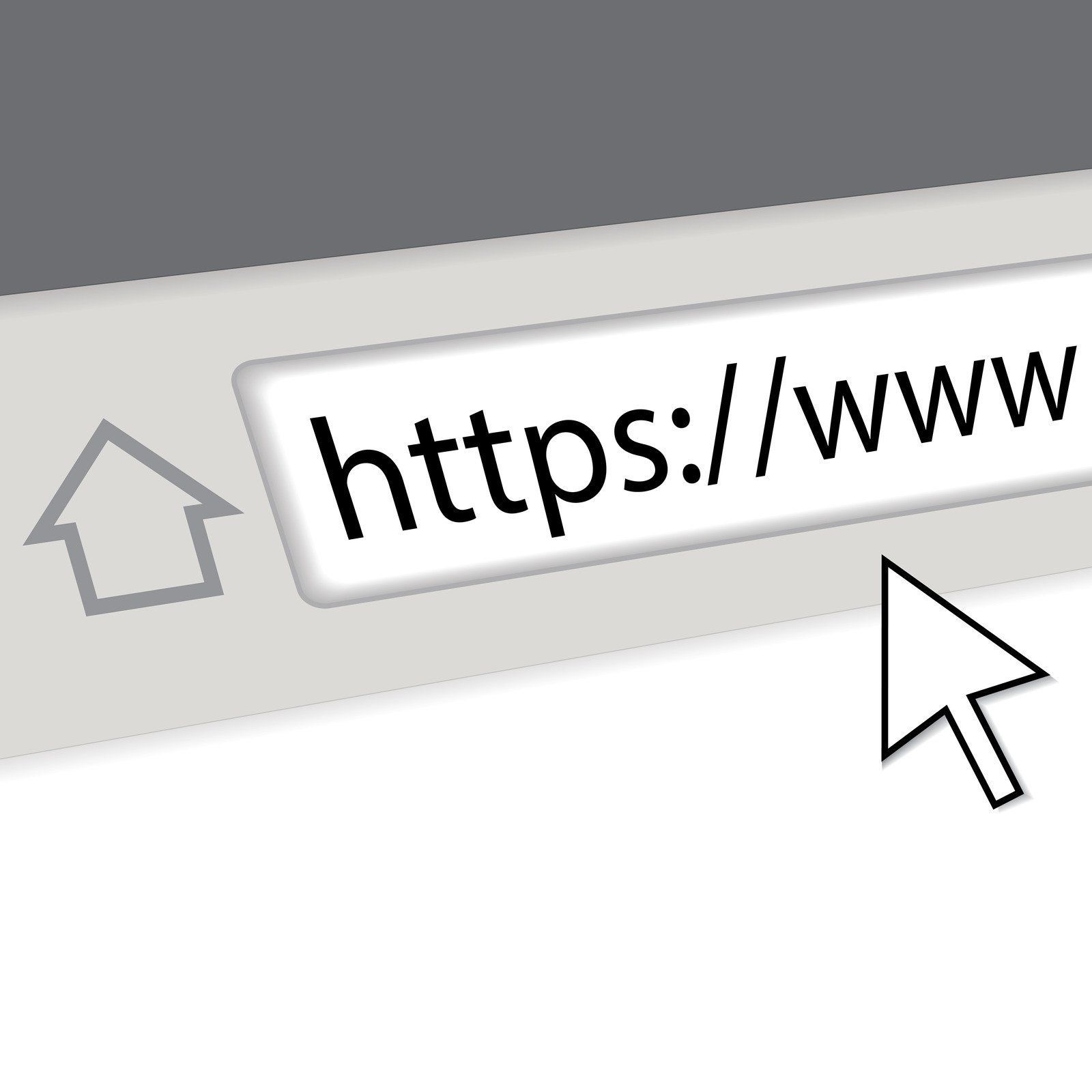 Web browser address bar with