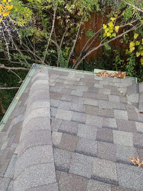 Asphalt shingle roof with a slight curve, viewed from above, surrounded by green and yellow leaves.