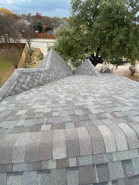 Gray asphalt shingle roof with several peaks and a large tree in the background.