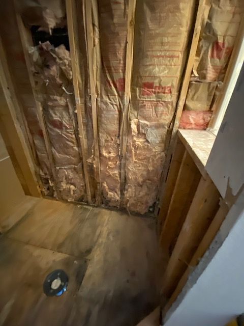 Moldy bathroom wall with exposed insulation and shower drain.