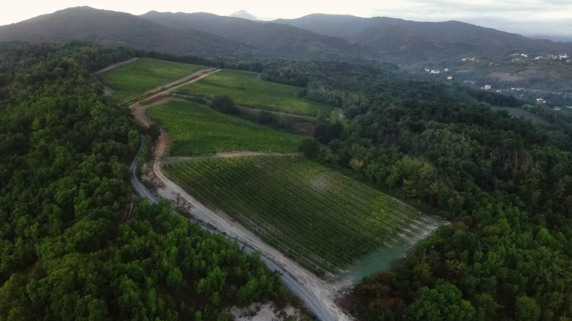 vista dall'alto tenuta la centuriona