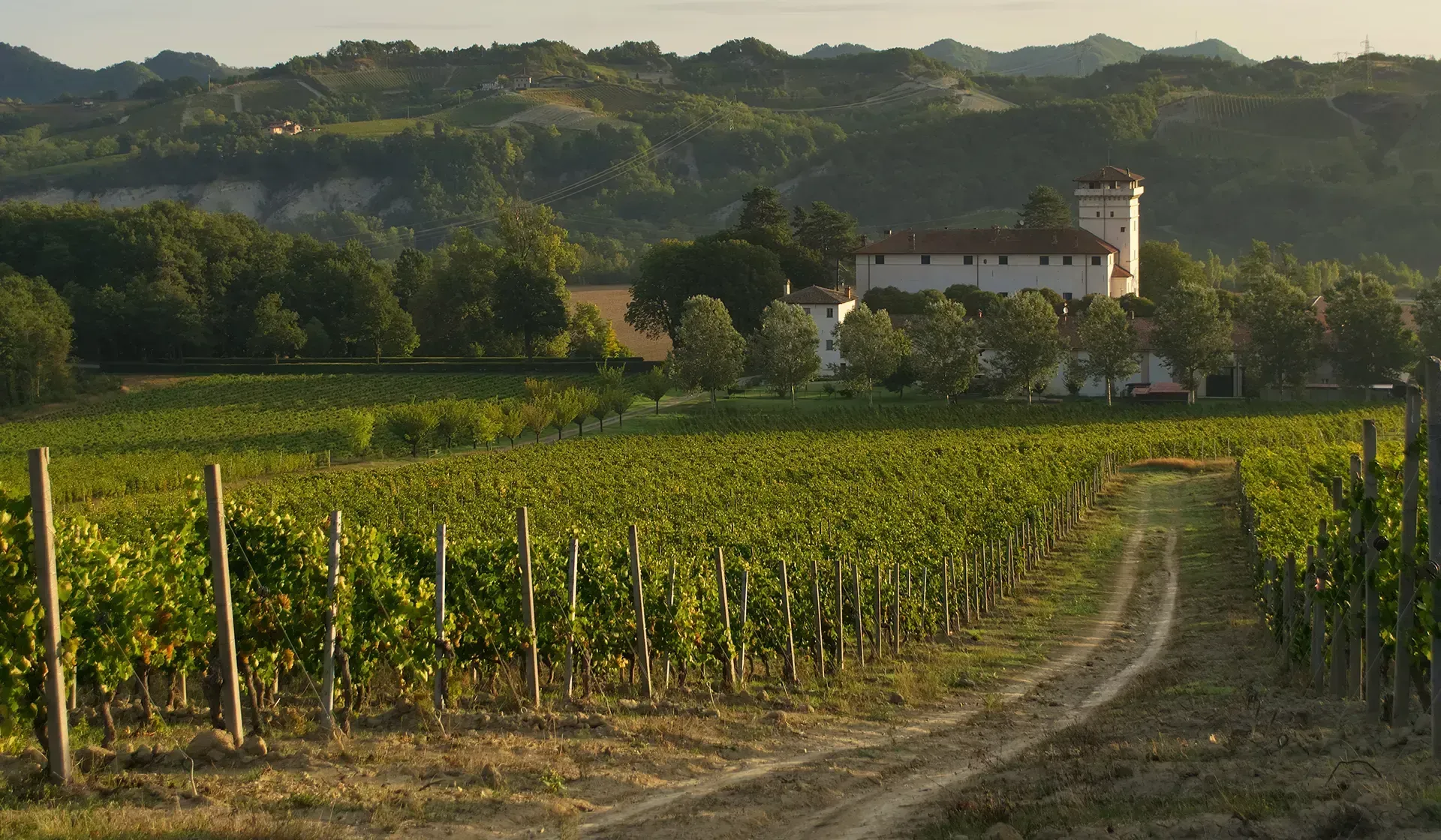 tenuta