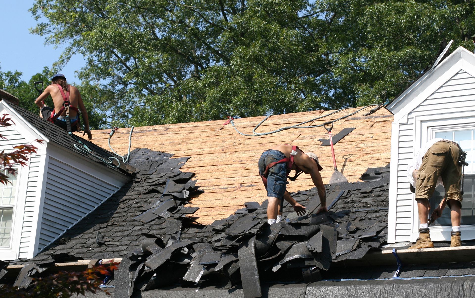 Local roofing contractors removing old roofing for replacement, on a sunny day.