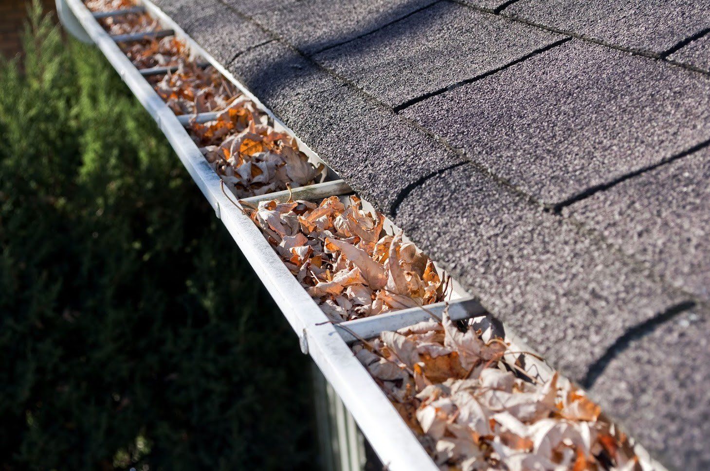 Gutter with Leaves — Kansas City, KS — Ratliff Enterprises