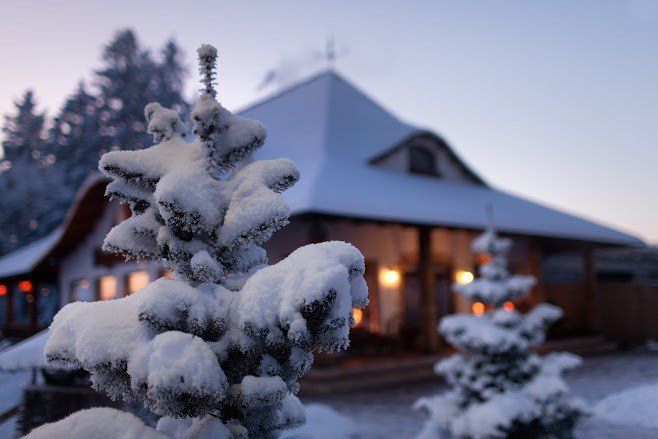 Tree Covered In Snow — Roof in Kansas City, KS