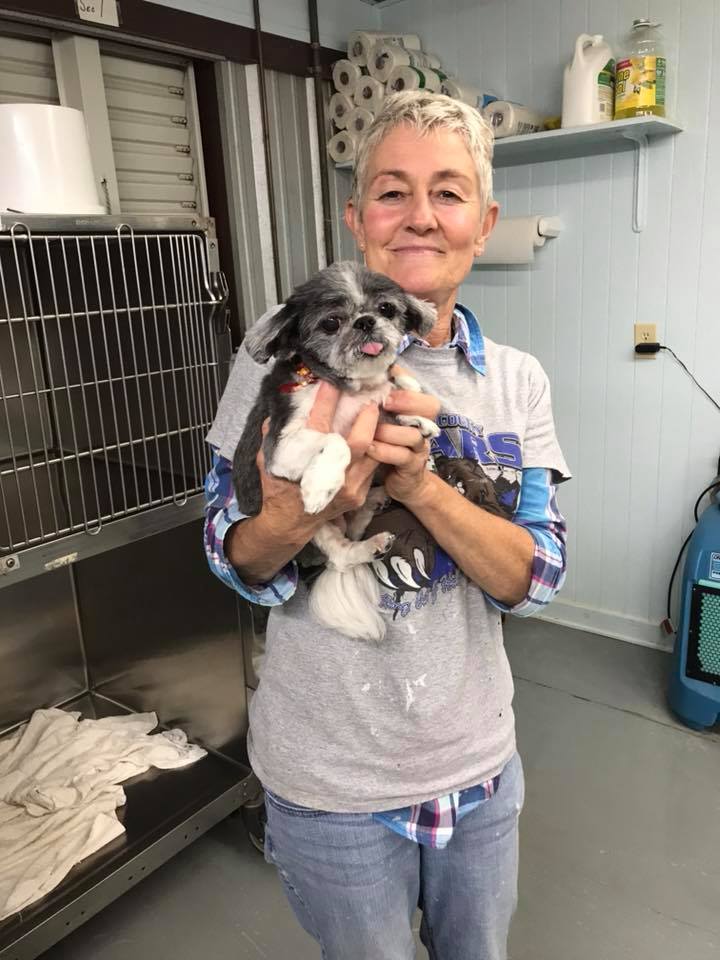 Puppy and Facility Staff — Hephzibah, GA — Springwood Pet Boarding & Grooming