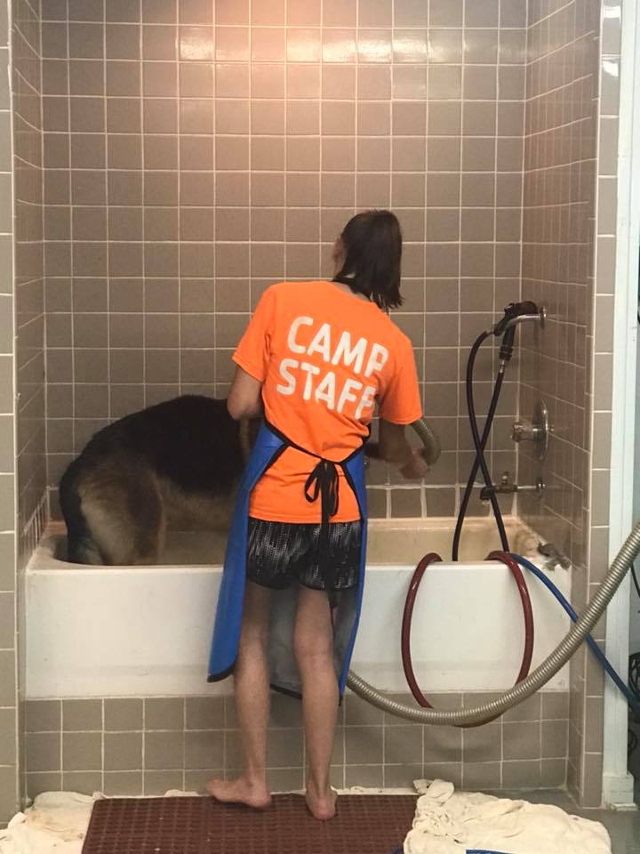 Grooming Facility Staff — Hephzibah, GA — Springwood Pet Boarding & Grooming