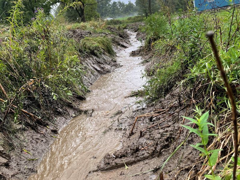 A muddy stream runs through a lush green field.