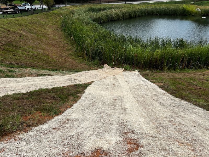 A dirt road leading to a pond in the middle of a field.
