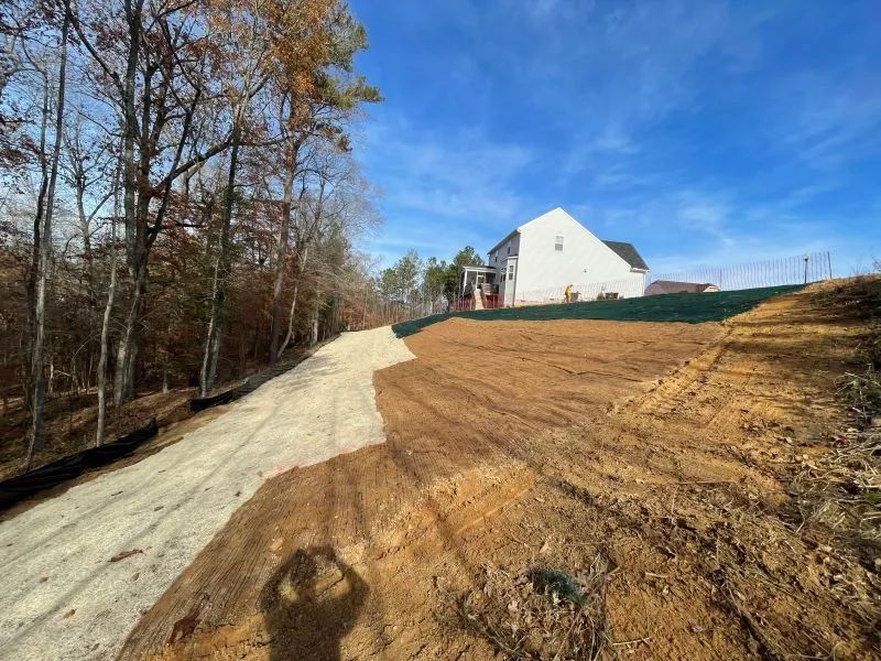 A dirt road leading to a house in the woods.