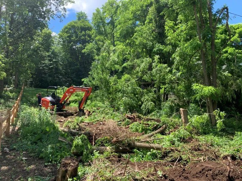 A large excavator is sitting in the middle of a forest.