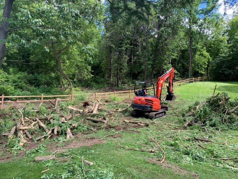 A small excavator is cutting down trees in a yard.