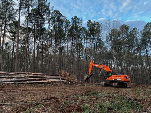 A large orange excavator is working in the middle of a forest.