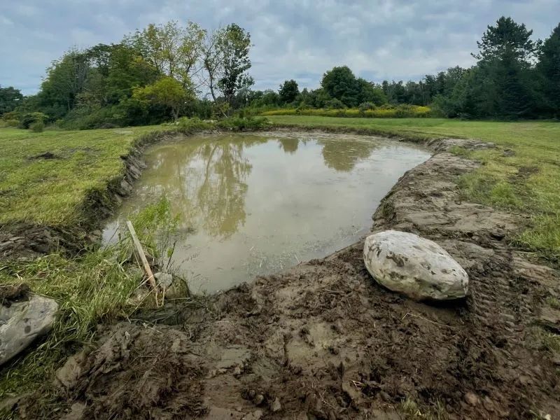A large rock is sitting next to a muddy pond in a field.