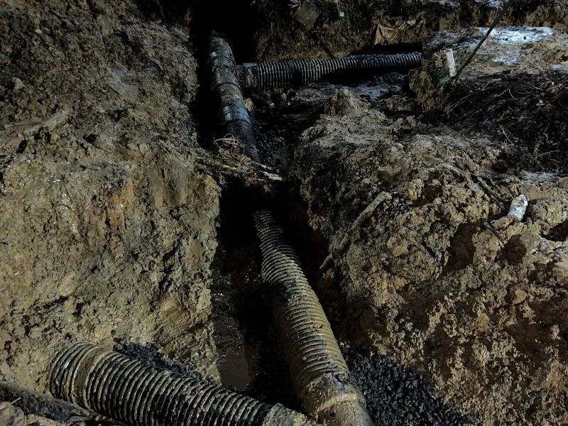A bunch of pipes are laying in the dirt.