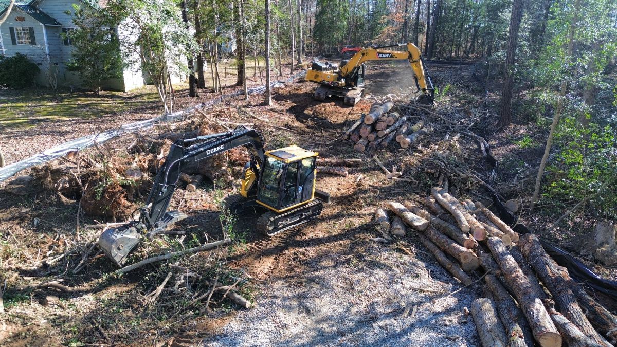 An excavator is cutting down trees in a forest.