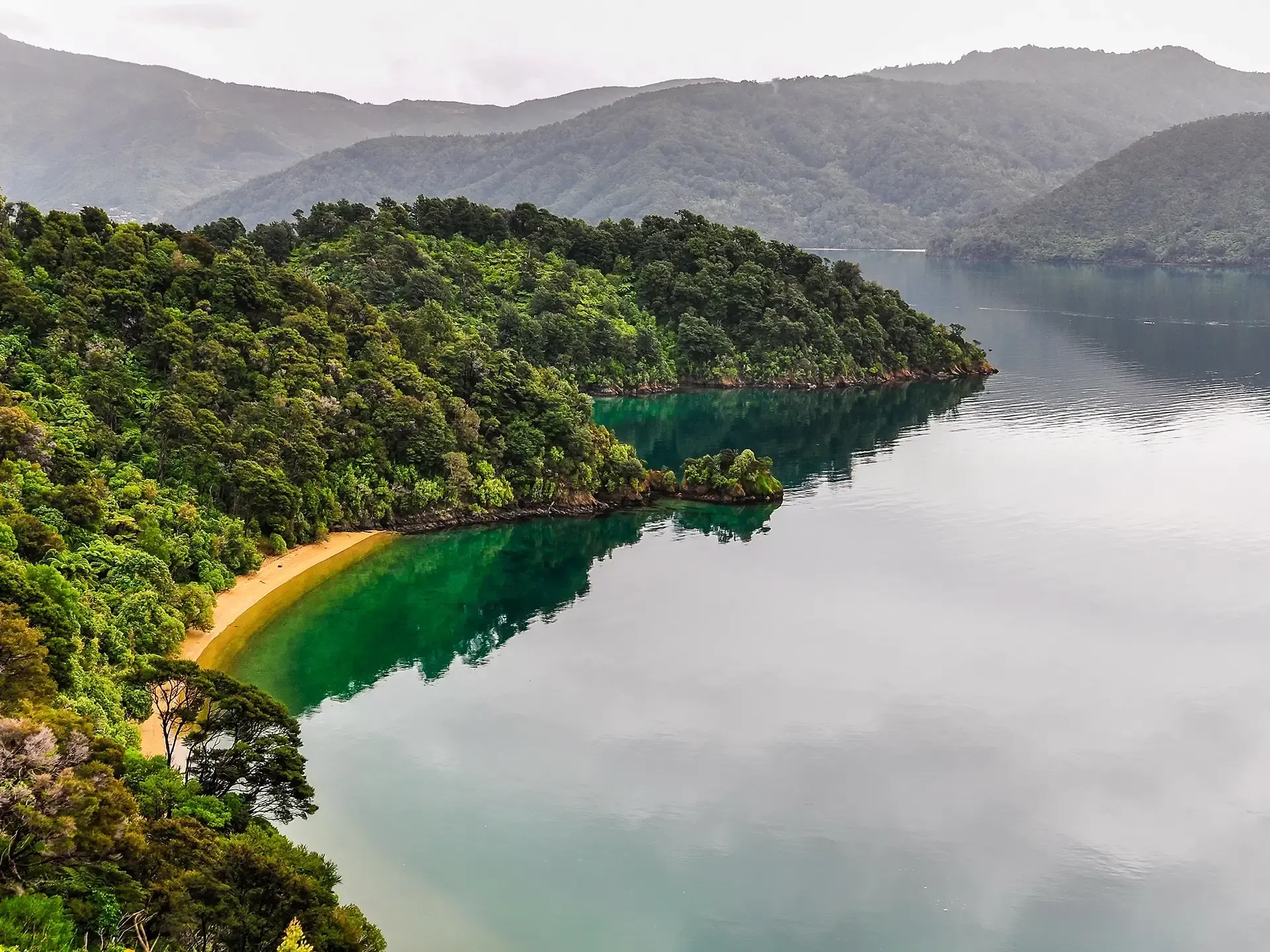 Marlborough things to do, 
Best activities Marlborough, Hunting in New Zealand
