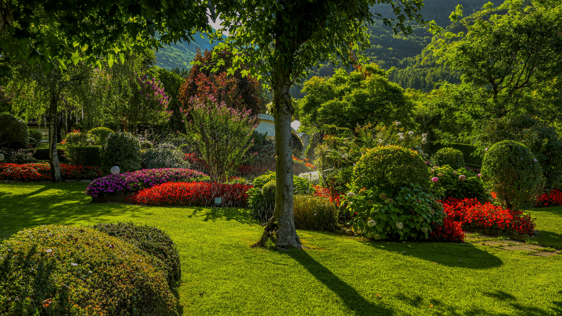 A beautifully landscaped garden with colorful flowers, manicured shrubs, and lush green grass, showc