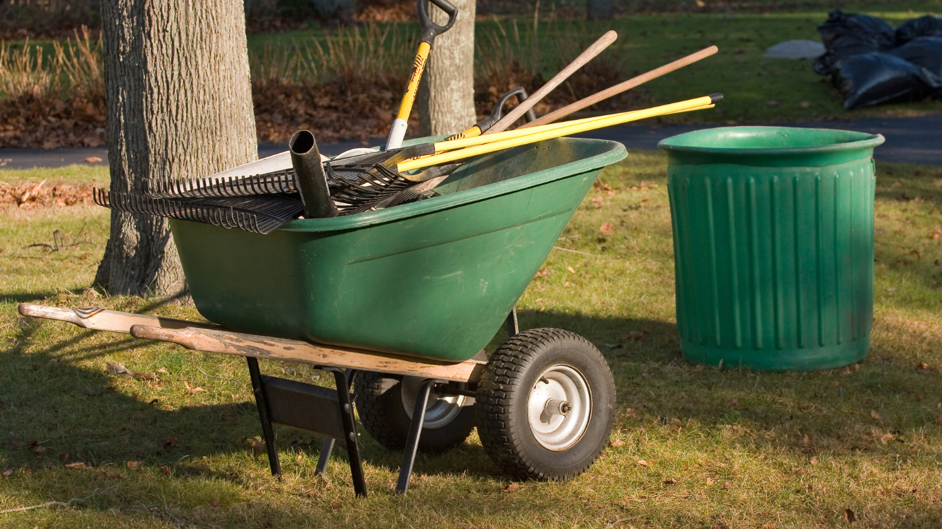 Well-maintained green lawn surrounded by shrubs, hedges, and trees, with a building visible in the background.
