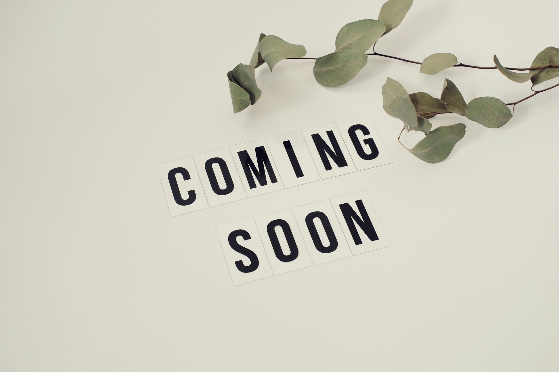 “COMING SOON” text on a light wall with green eucalyptus branches above