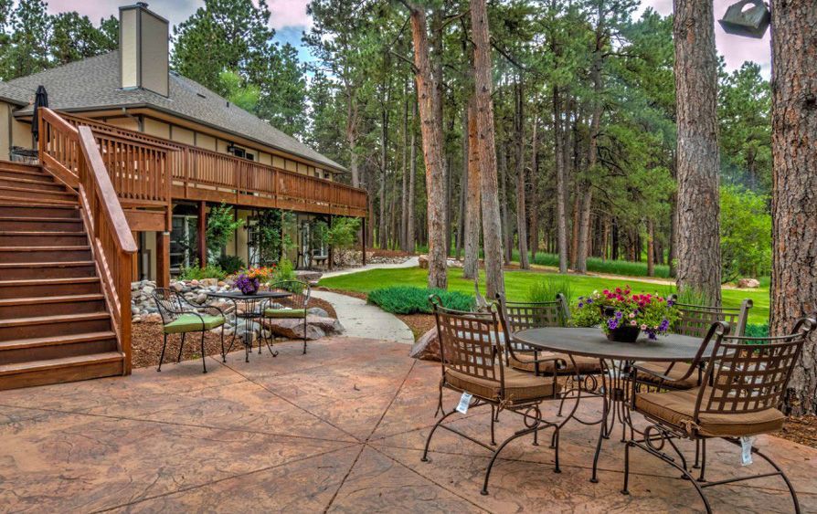 beautiful forest outside the hideaway inn in colorado