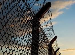 Security fence