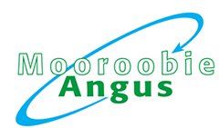 Moorobie Angus