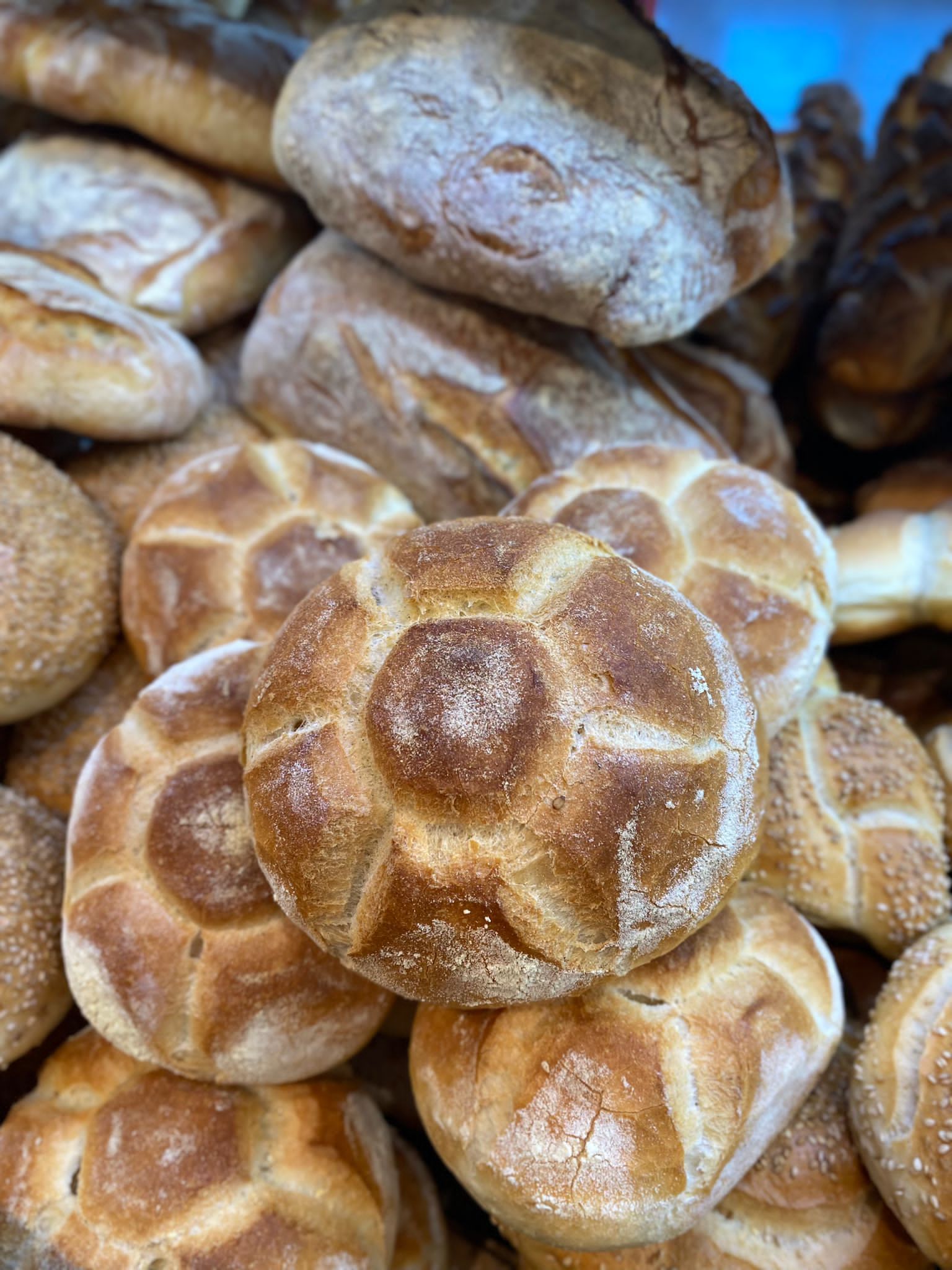 Panificio Panetteria la Spiga d'oro di Ragusa